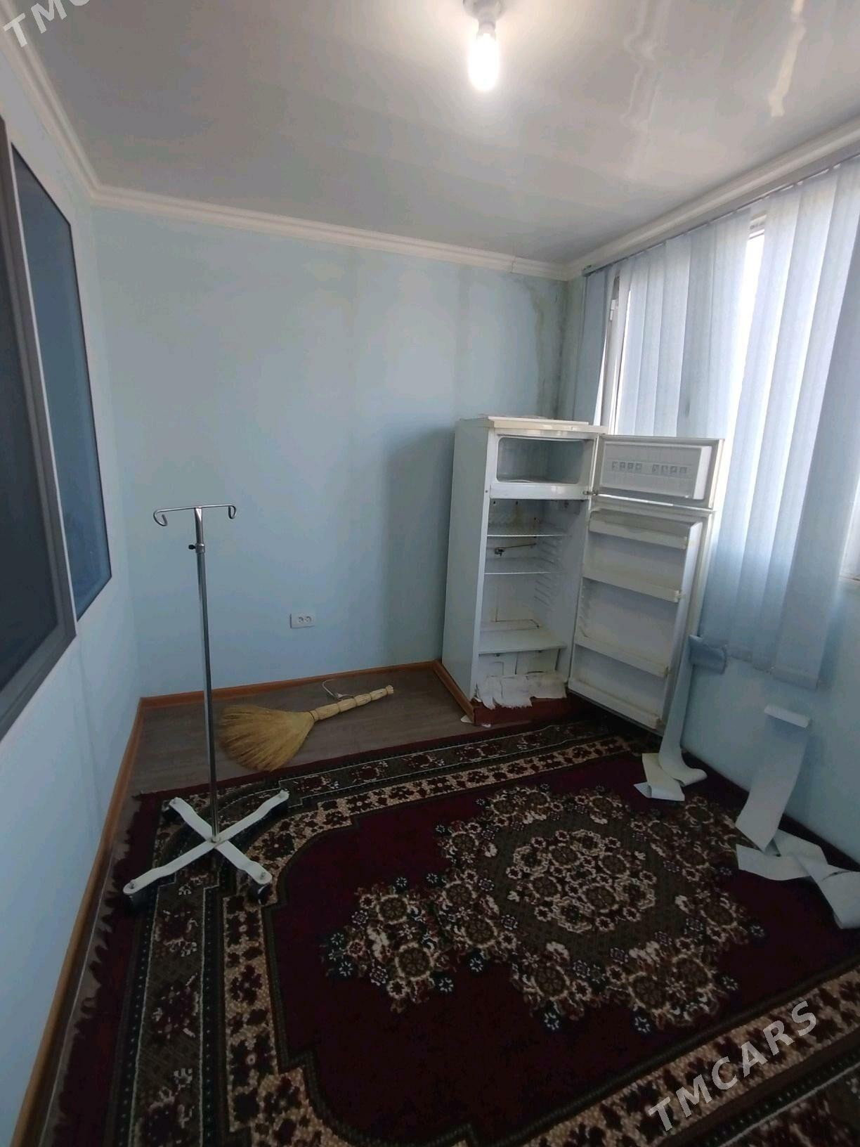 Satlyk jay - Mary - img 5