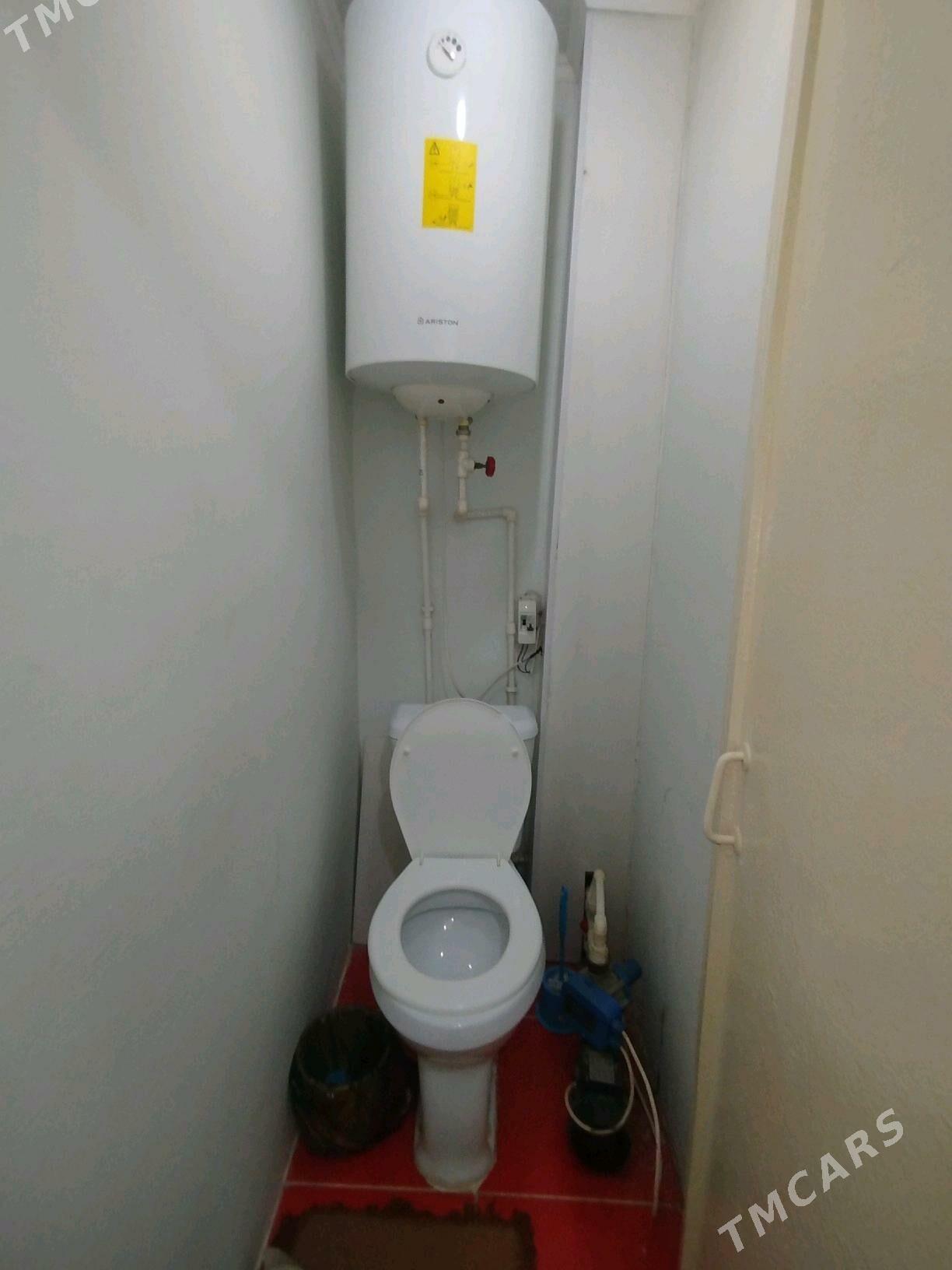 Satlyk jay - Mary - img 7