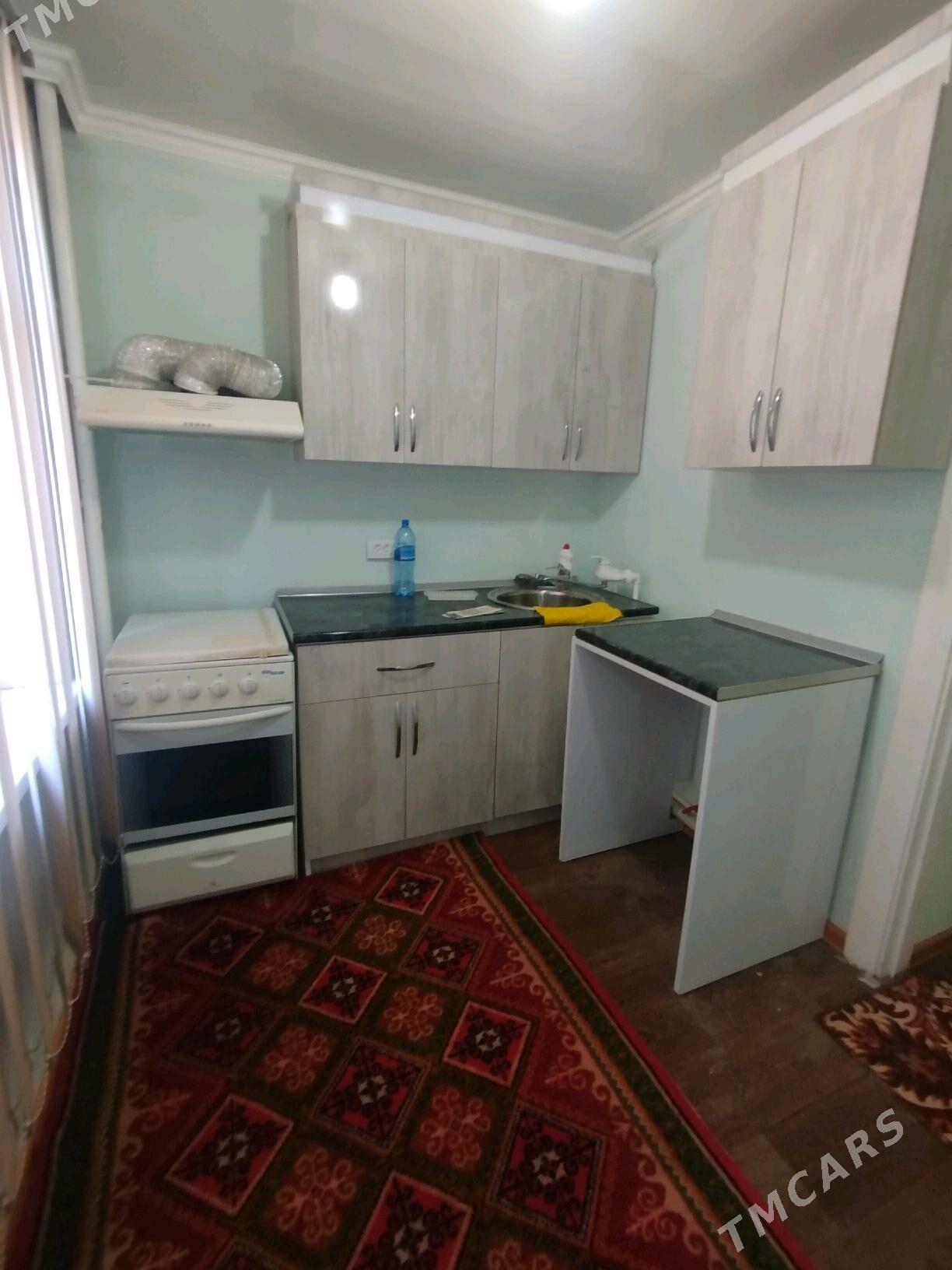 Satlyk jay - Mary - img 4