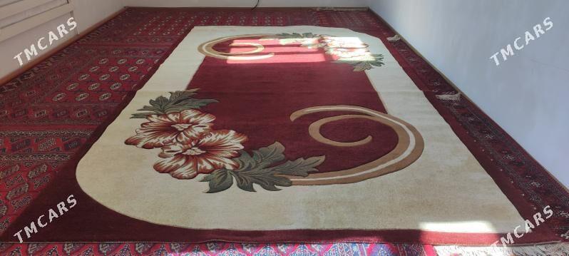 Haly - Гурбансолтан Едже - img 4