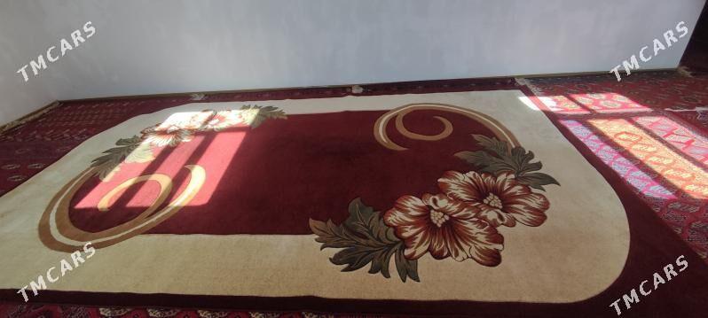 Haly - Гурбансолтан Едже - img 5