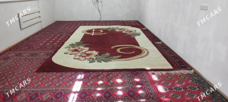 Haly - Гурбансолтан Едже - img 3