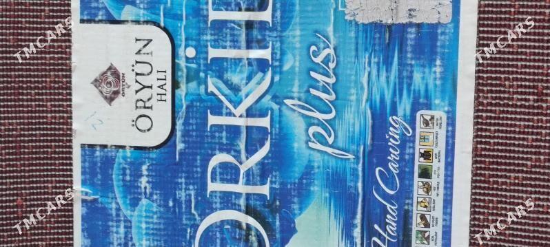 Haly - Gurbansoltan Eje - img 1