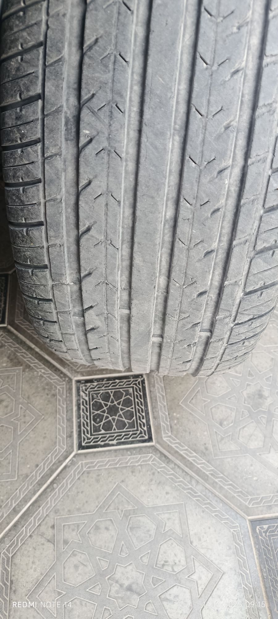 wilis teker 600 TMT - Mary - img 1