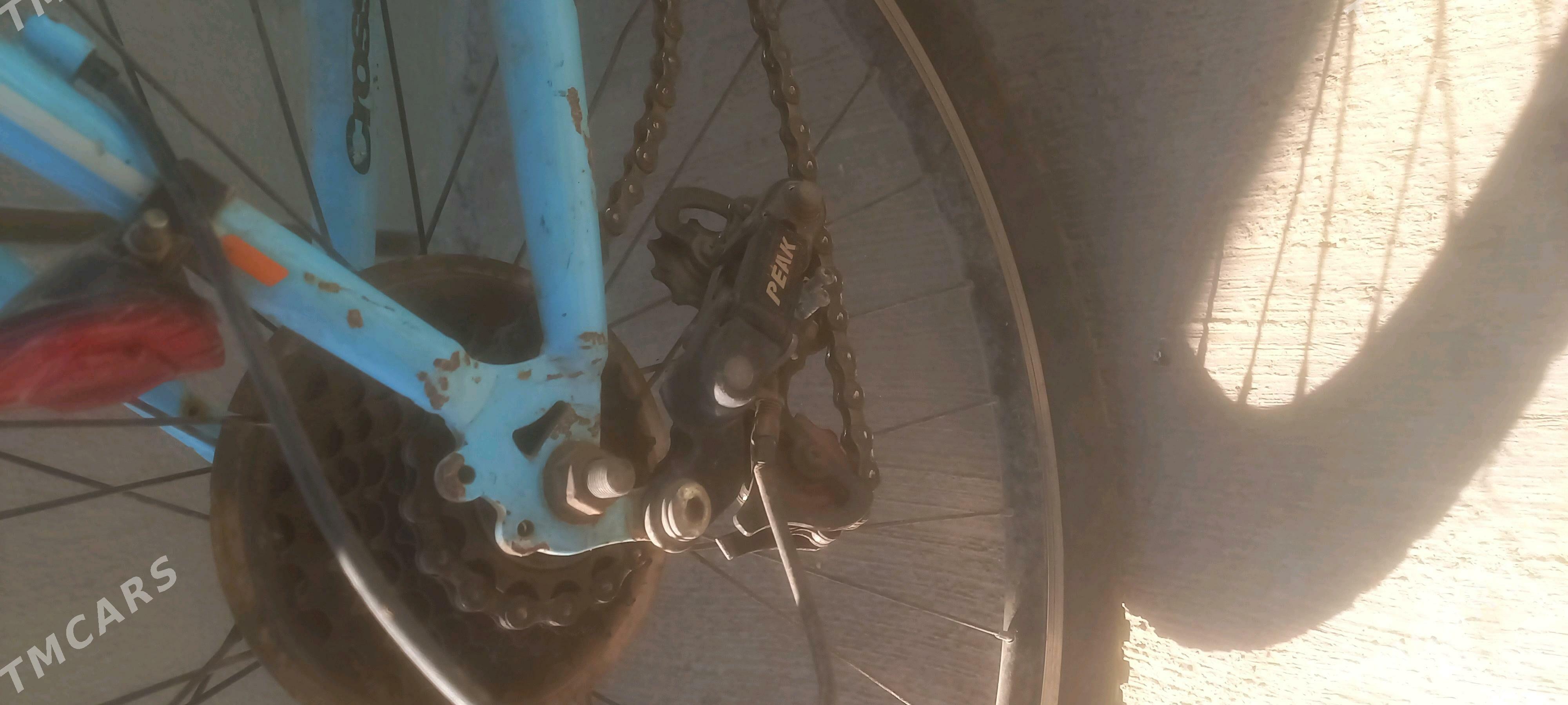 bianchi cross 600 - Шабатский этрап - img 5