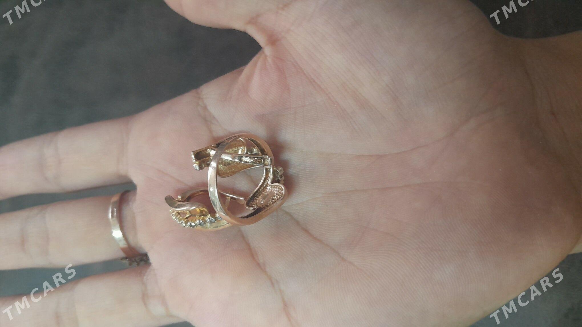 gyzyl - Dänew - img 2