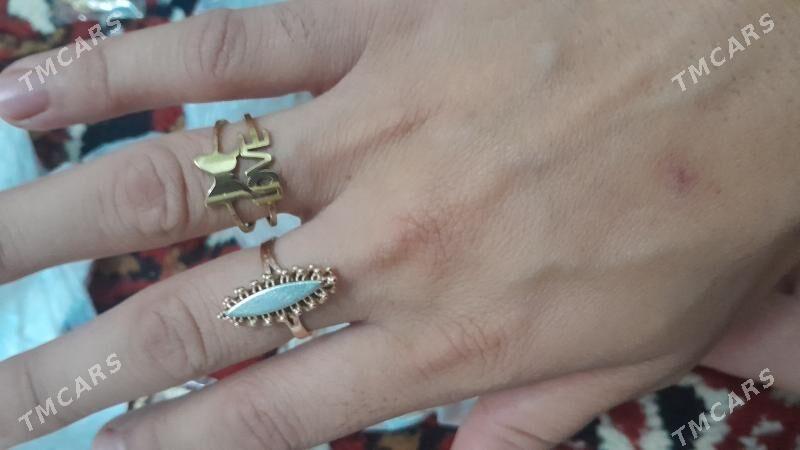 gyzyl - Dänew - img 3