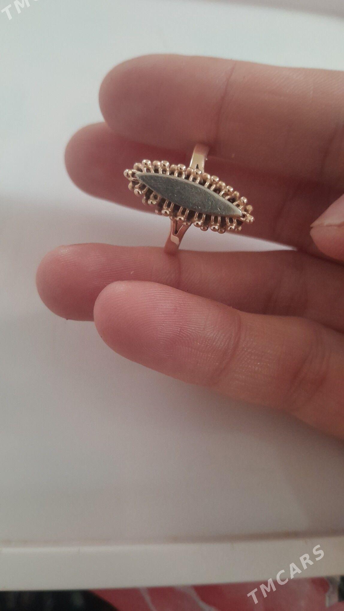 gyzyl - Dänew - img 2