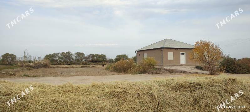 Satlyk Plan jaý - Гурбансолтан Едже - img 3