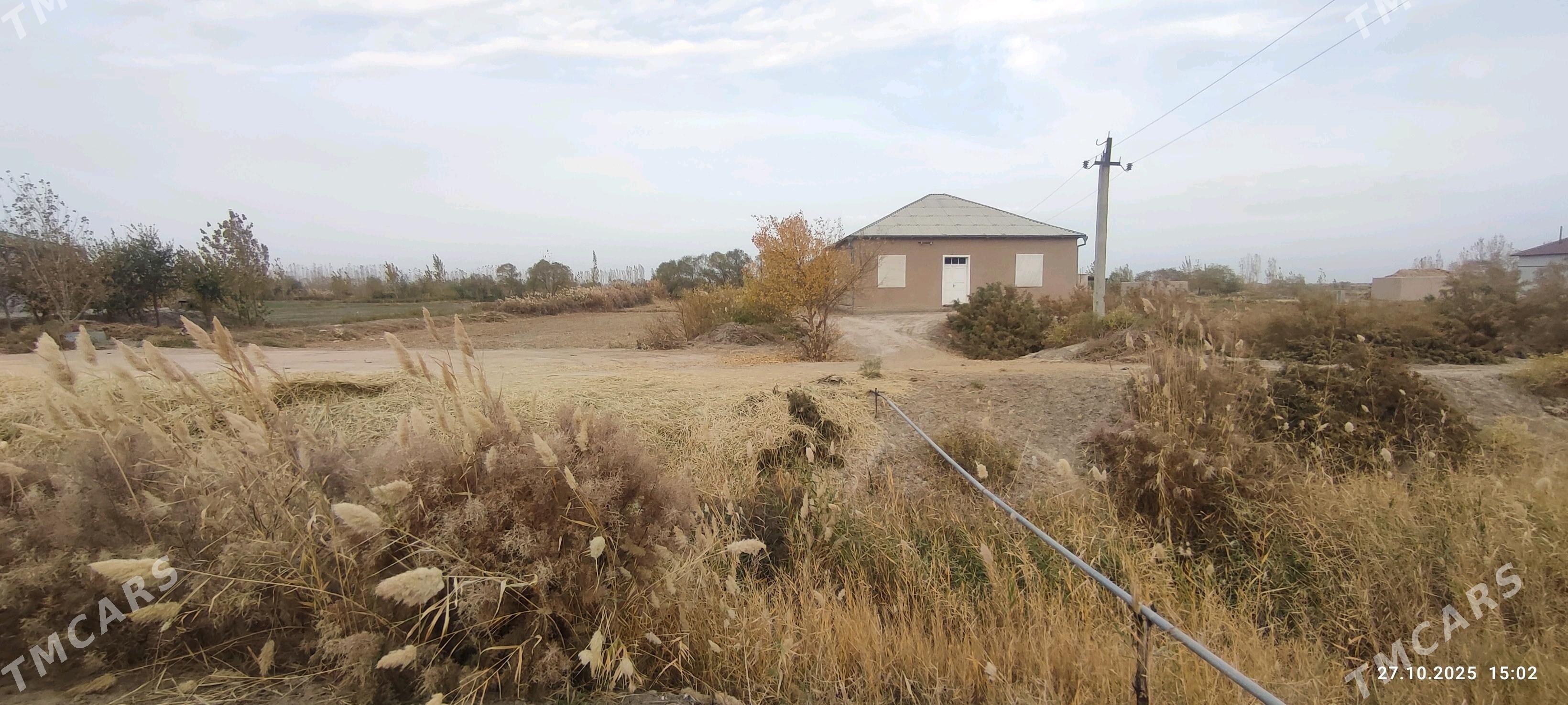 Satlyk Plan jaý - Гурбансолтан Едже - img 2