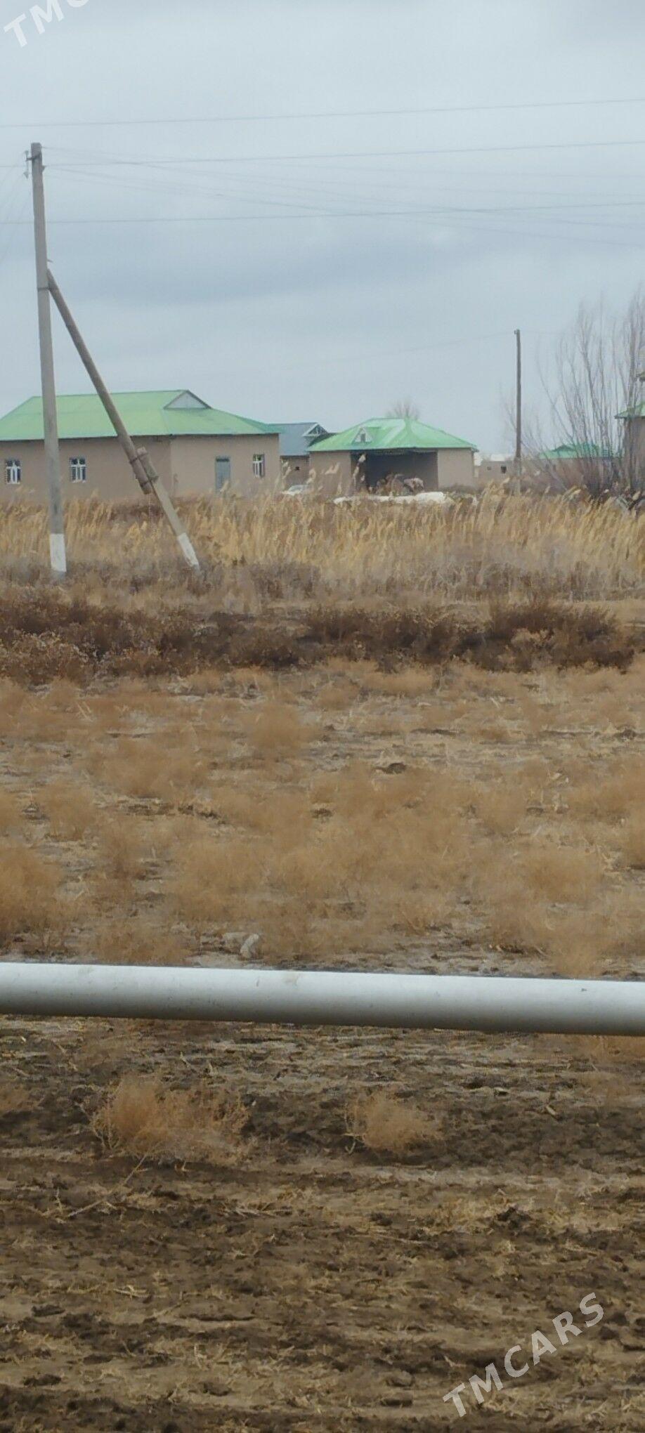 Satlyk jaý - Köneürgenç - img 4