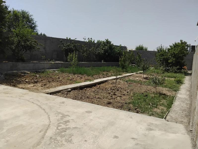 Bagyr Mirewe 4kom 10sotak - Багир - img 10