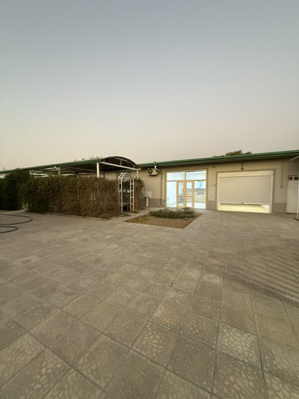 ÄNEW MAGTYMGULY - Анев - img 1