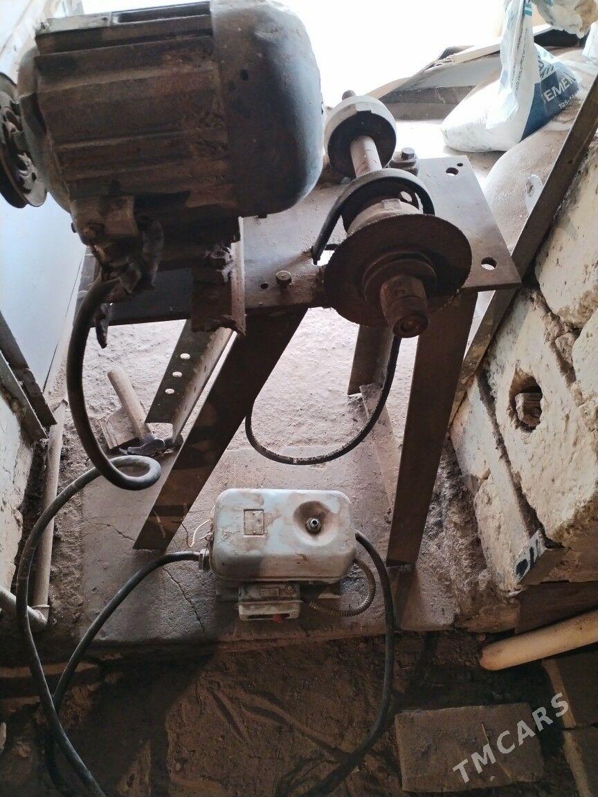 Dwigatel - Mary - img 4