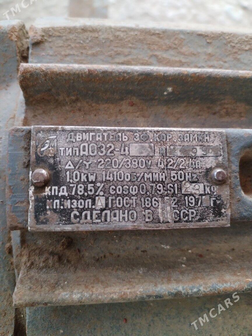 Dwigatel - Mary - img 3