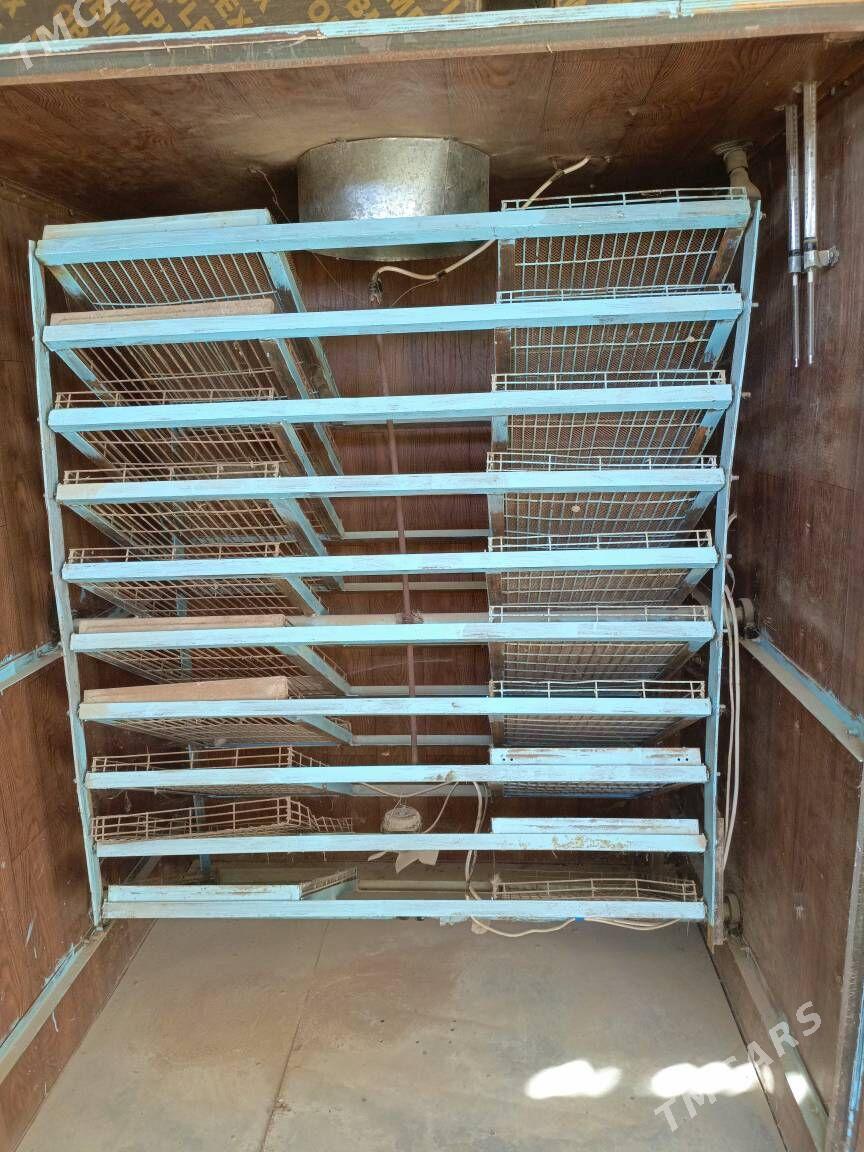 инкубатор для 4500 яйиц - Türkmenabat - img 3