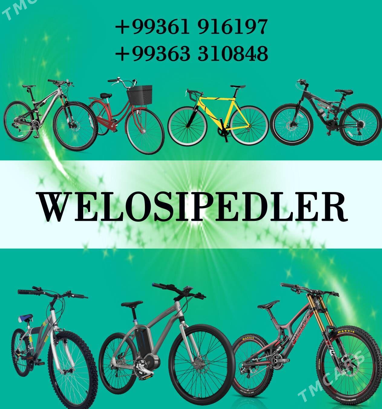 Peçat kserkopya wizitka dizayn - Ашхабад - img 8