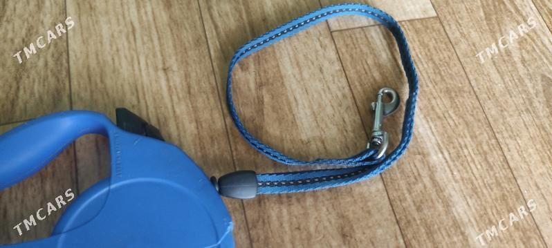 паводок - Гаудан "В" - img 2