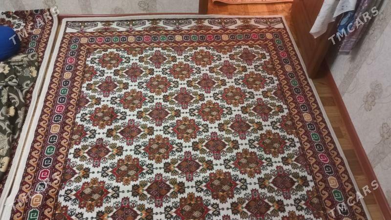 Haly - Balkanabat - img 1