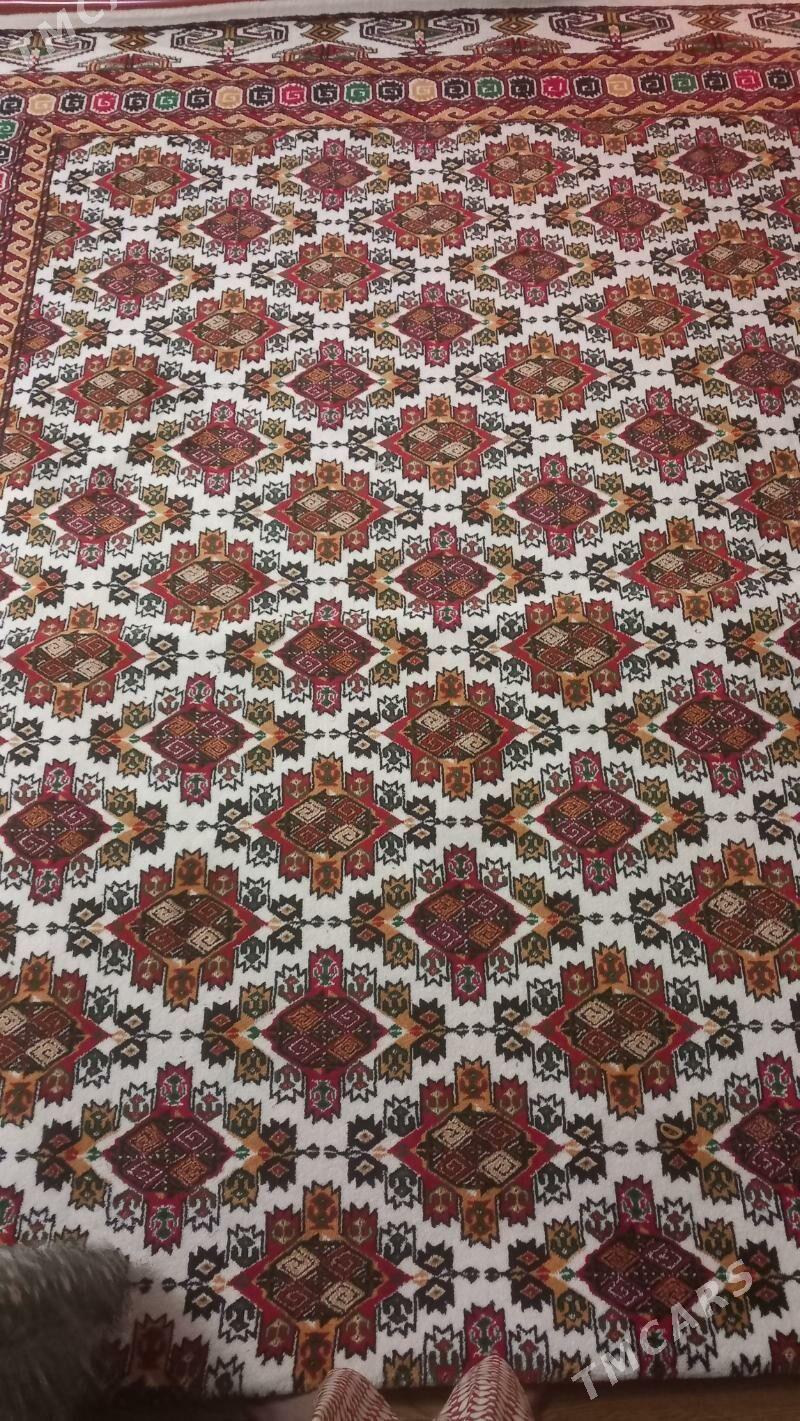 Haly - Balkanabat - img 2