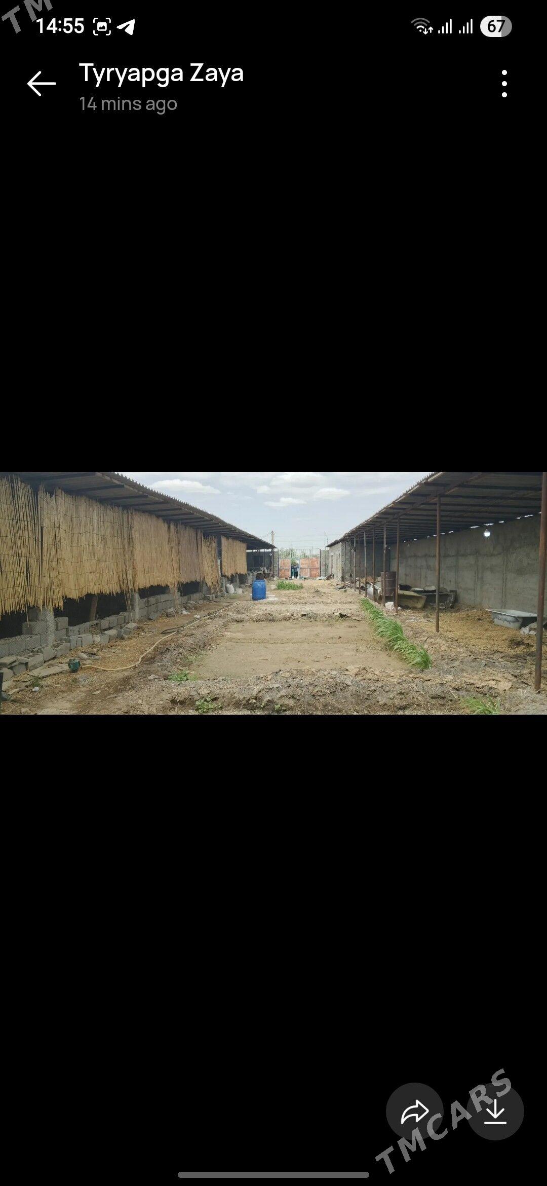 Talhanny yer - Бузмеин - img 4