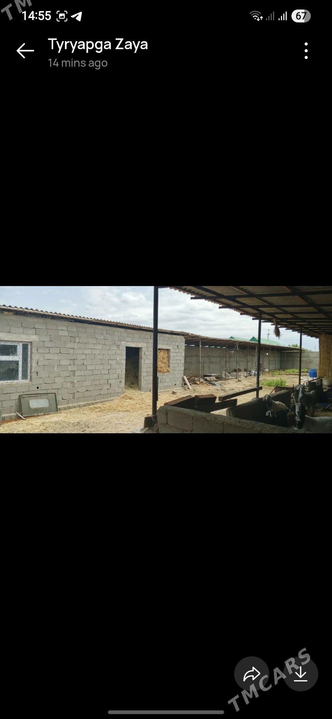 Talhanny yer - Бузмеин - img 6