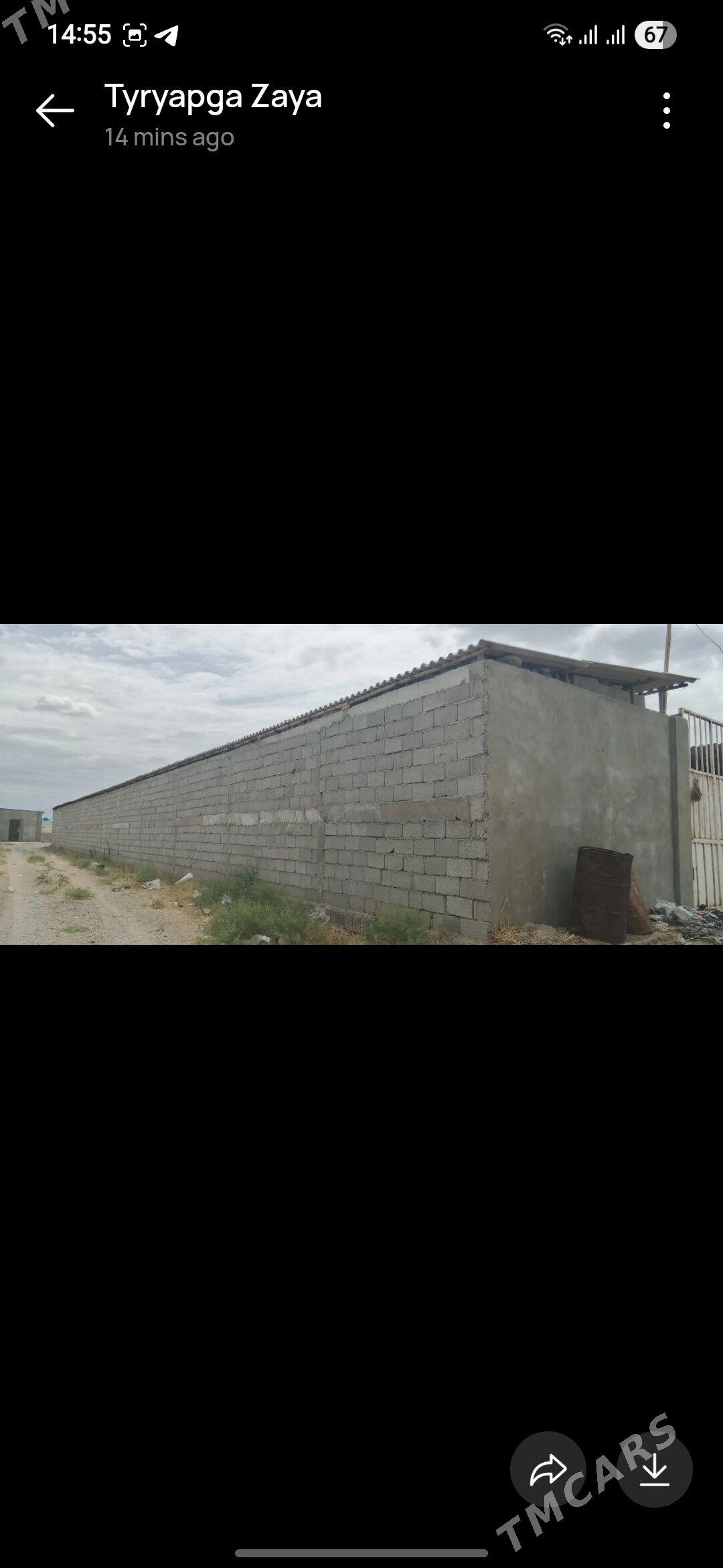 Talhanny yer - Бузмеин - img 2