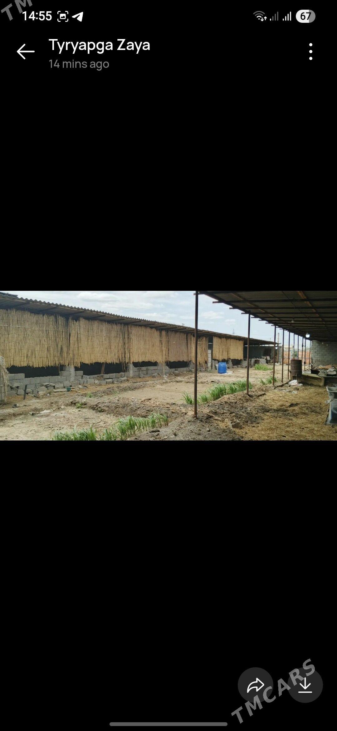 Talhanny yer - Бузмеин - img 3