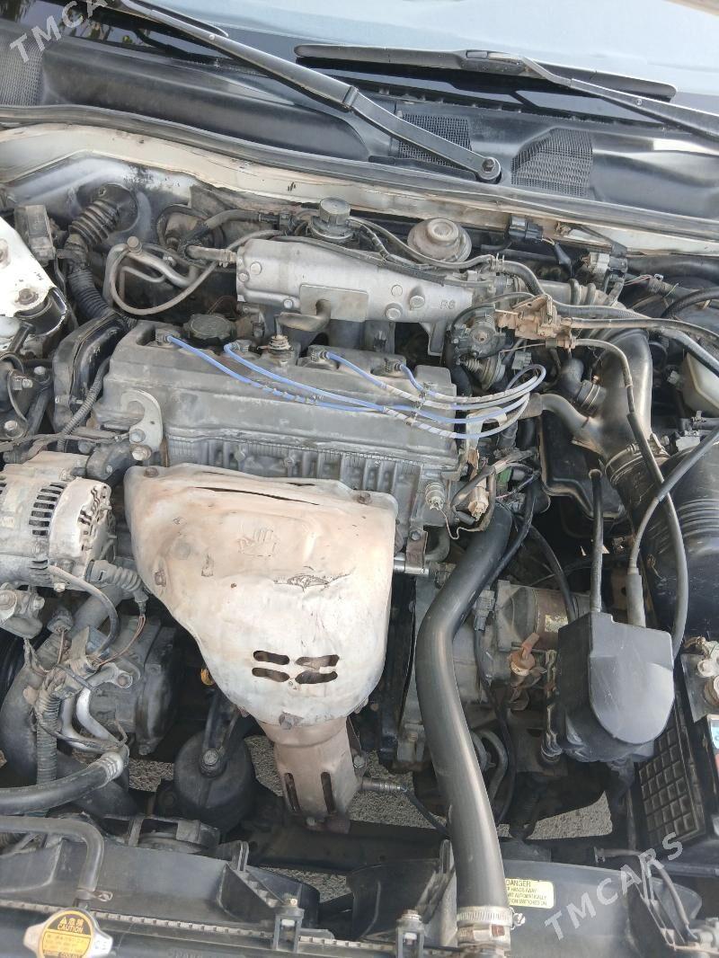 Toyota Camry 1997 - 130 000 TMT - Ak bugdaý etraby - img 1