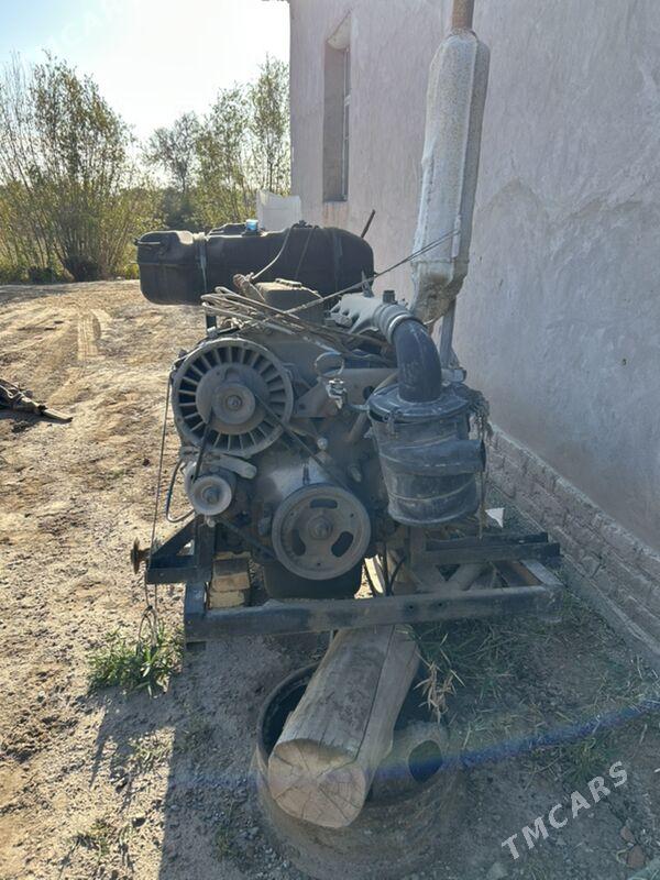 Kerpic cykaryjy - Boldumsaz - img 4