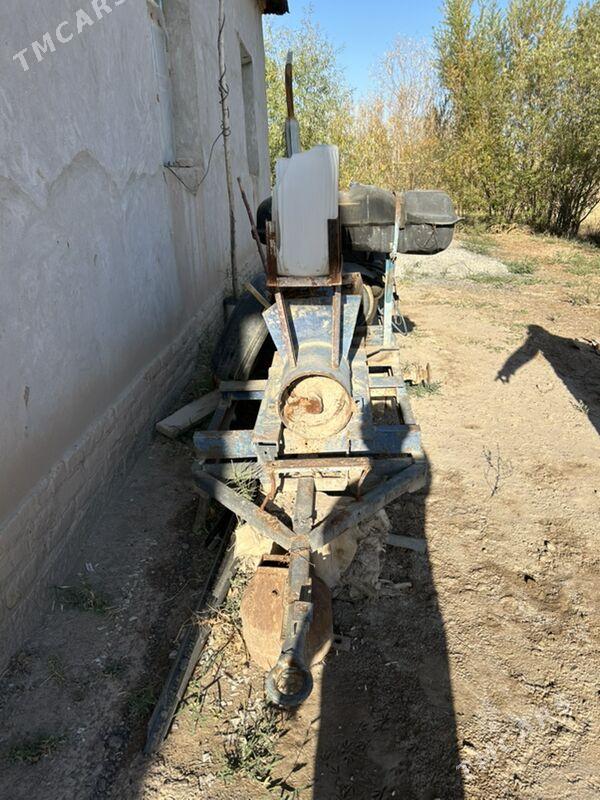 Kerpic cykaryjy - Boldumsaz - img 2