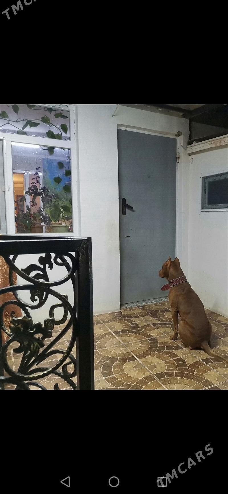 Квартира - Хазар - img 3