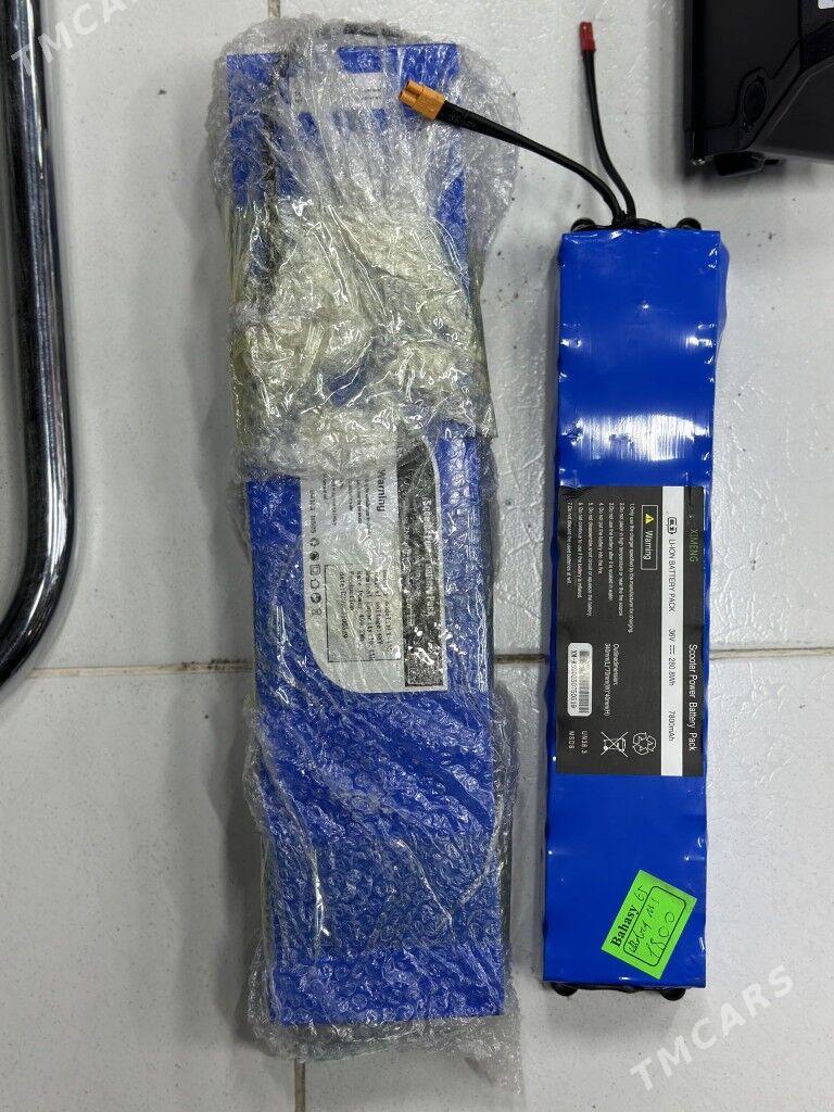 TIGIR SAMAKAT SKUTER ZAPJAS - Gurtly - img 7