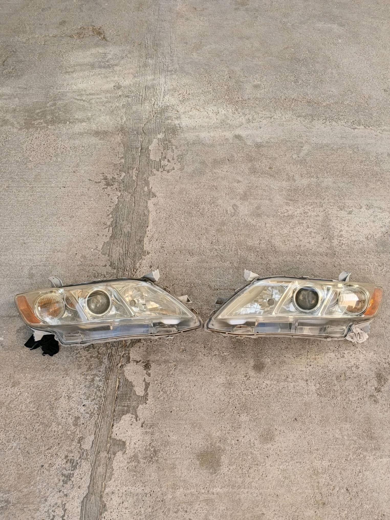 Okuz kelle Fara 2008 morda 1 500 TMT - Aşgabat - img 2