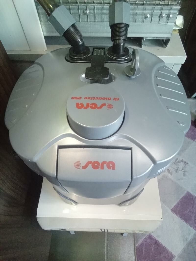 Аквариум травник - Aşgabat - img 8