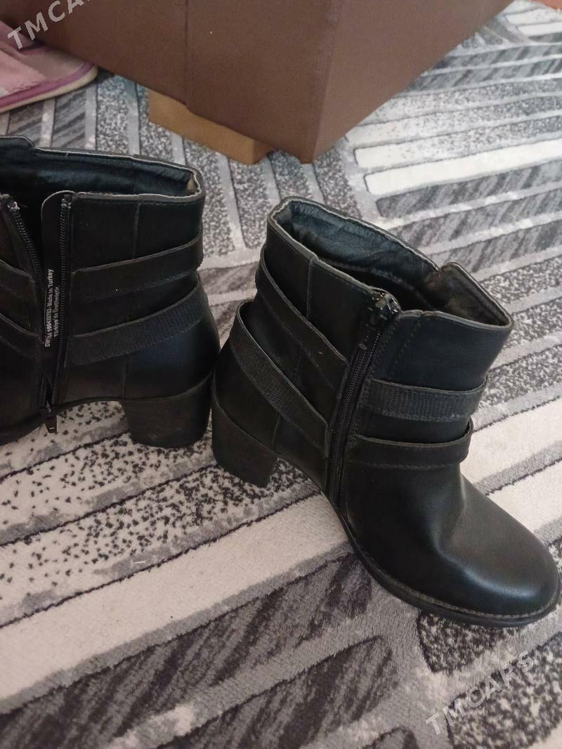 Àdikler - Дашогуз - img 9