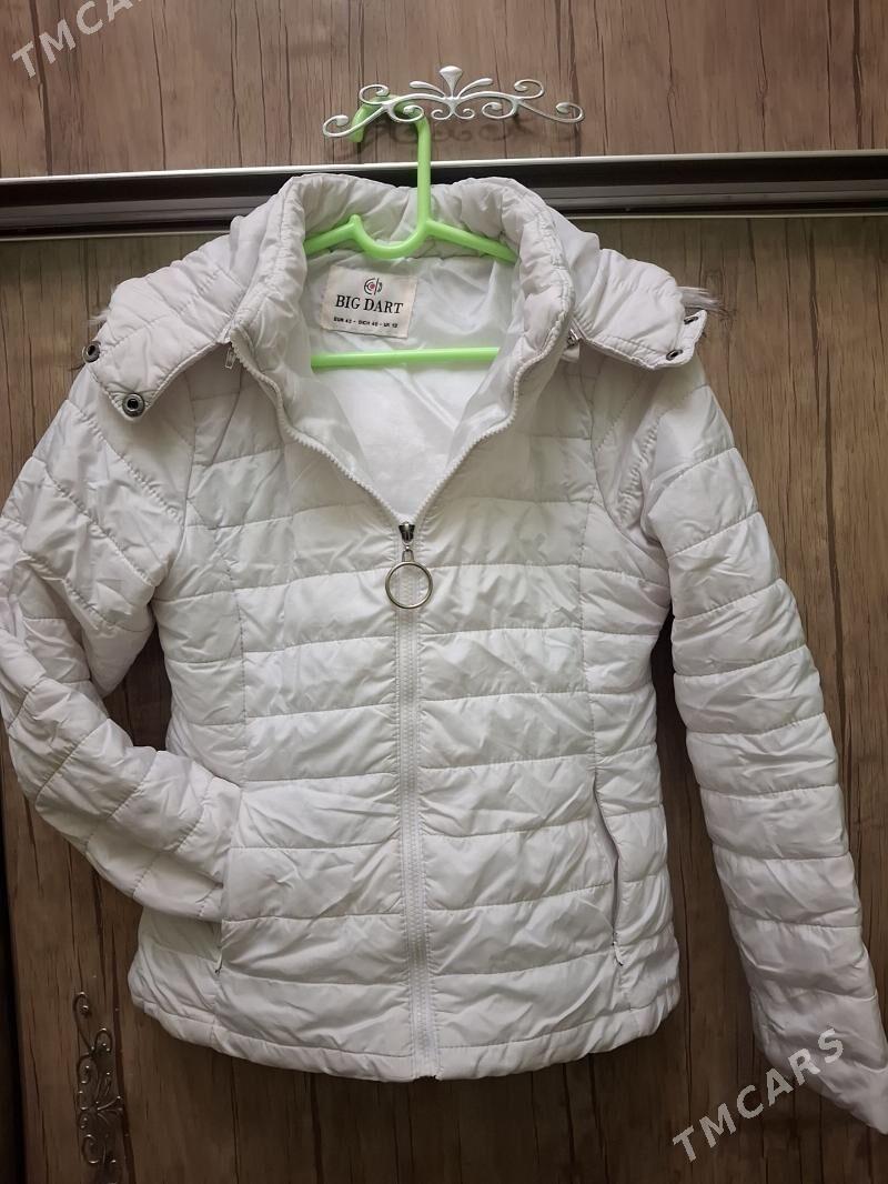 kurtga - Дашогуз - img 7