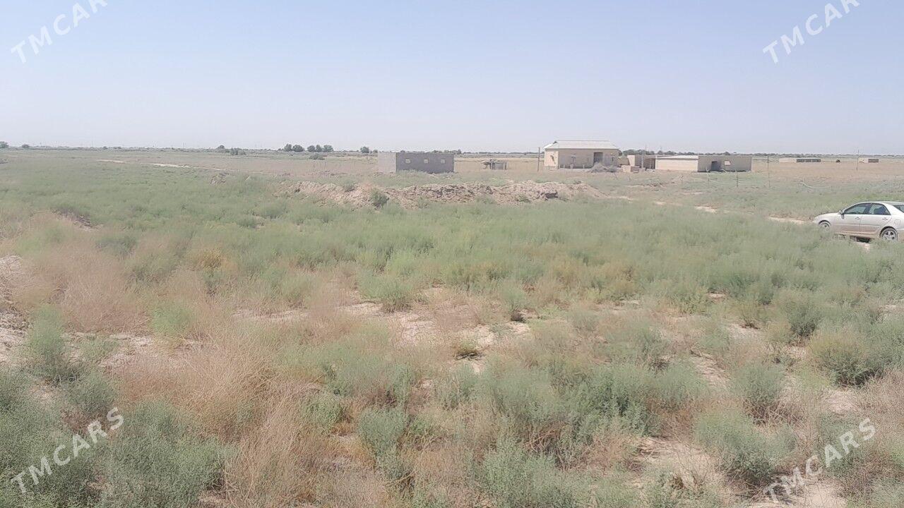 Mellek jay yer - Wekilbazar - img 1