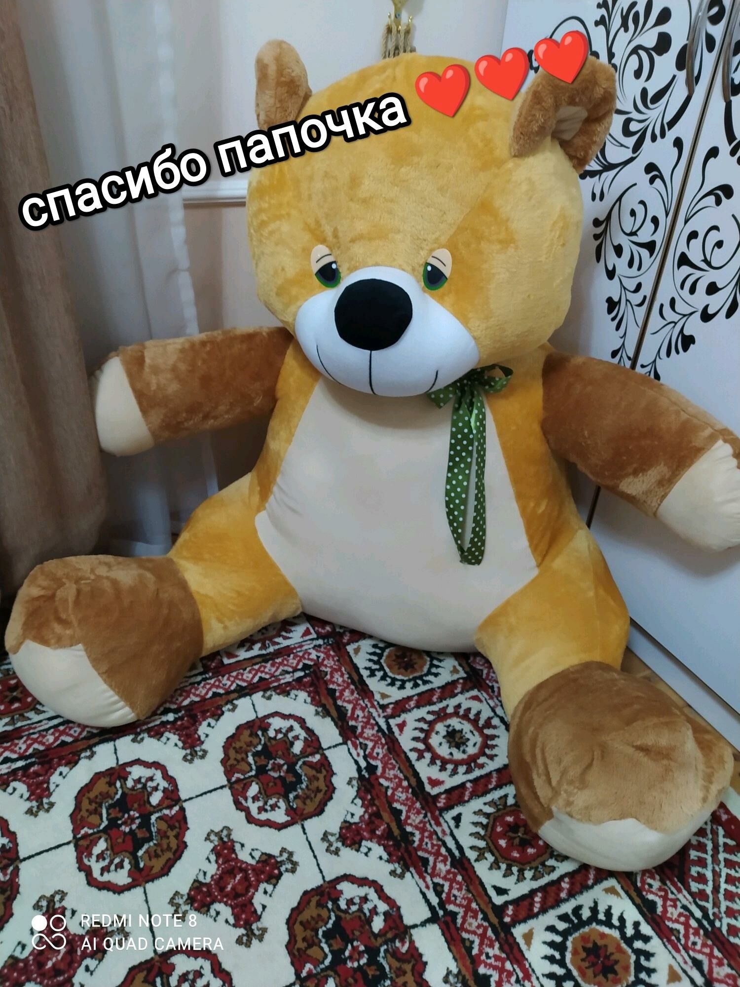 Ýumşak aýy - Mary - img 2