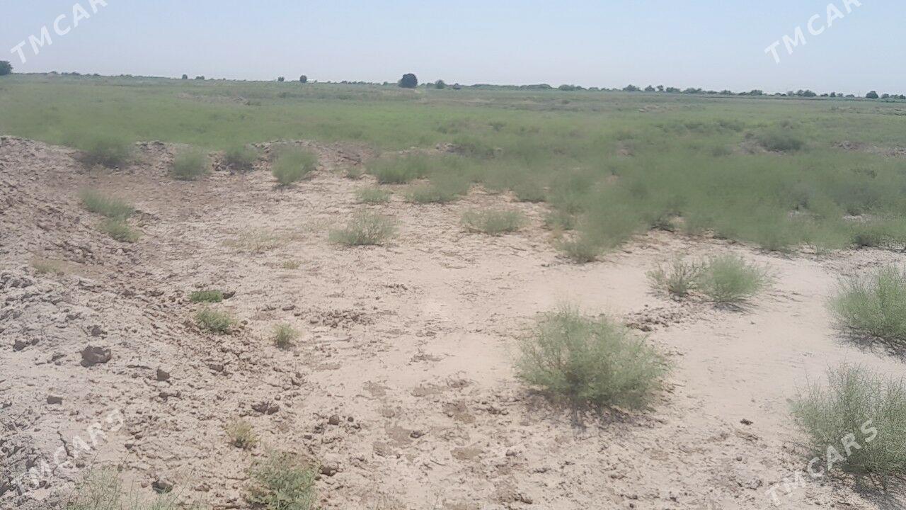 Mellek jay yer - Wekilbazar - img 3