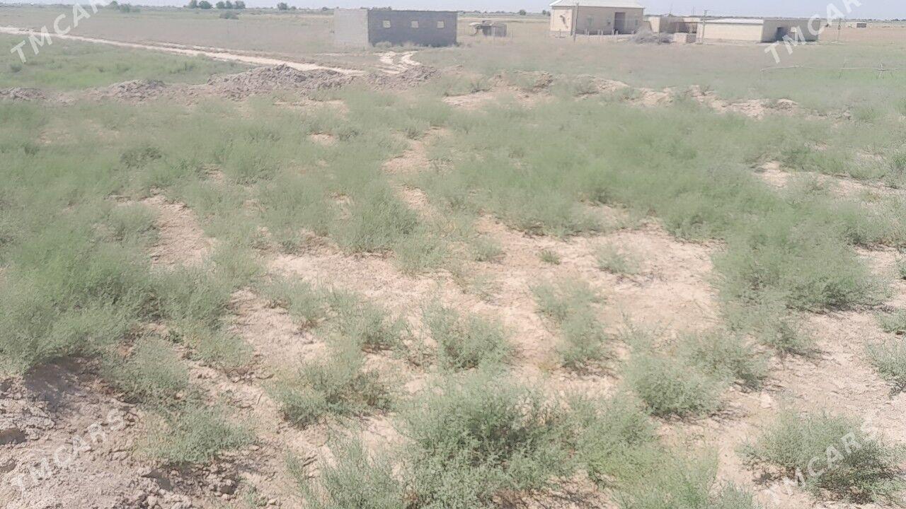 Mellek jay yer - Wekilbazar - img 4