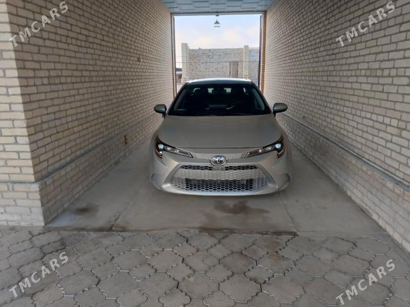 Toyota Corolla 2021 - 240 000 TMT - Halaç - img 1