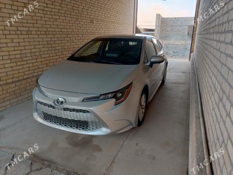 Toyota Corolla 2021 - 240 000 TMT - Halaç - img 2