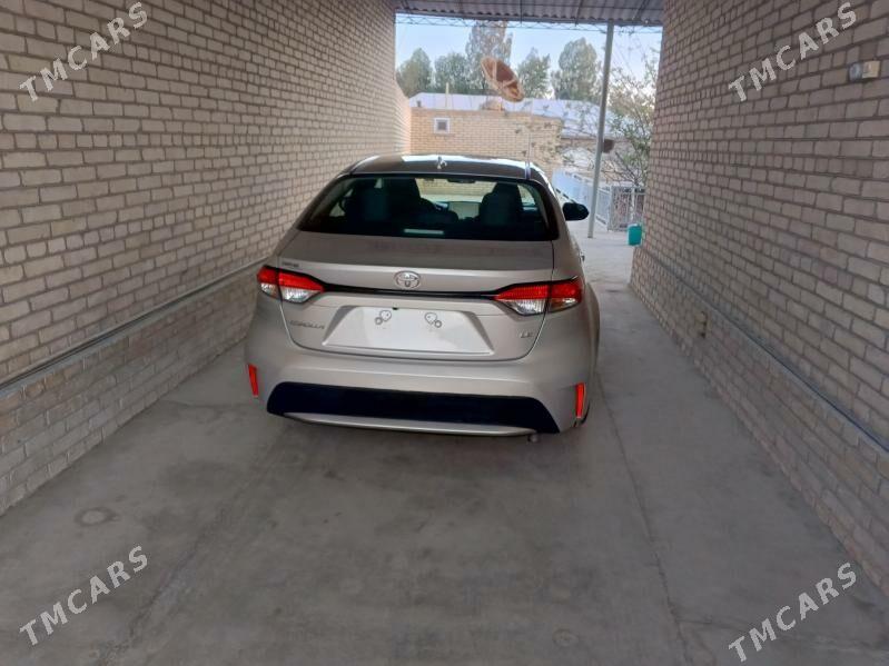 Toyota Corolla 2021 - 240 000 TMT - Halaç - img 3