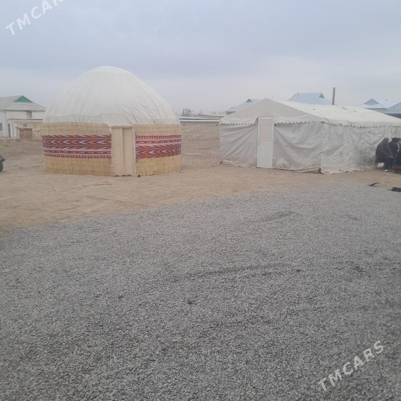 Palata - Каракумский этрап - img 2