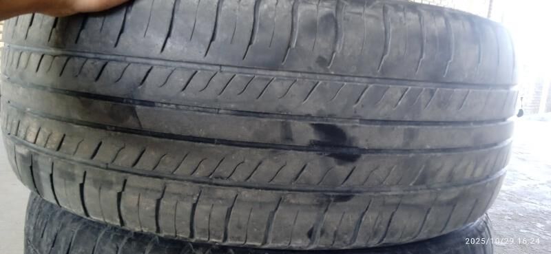 225.60.16 800 TMT - Mary - img 3