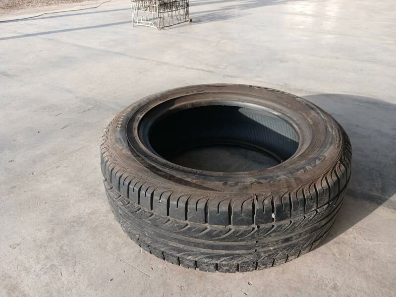 17 lik pakirişka 200 TMT - Bäherden - img 2