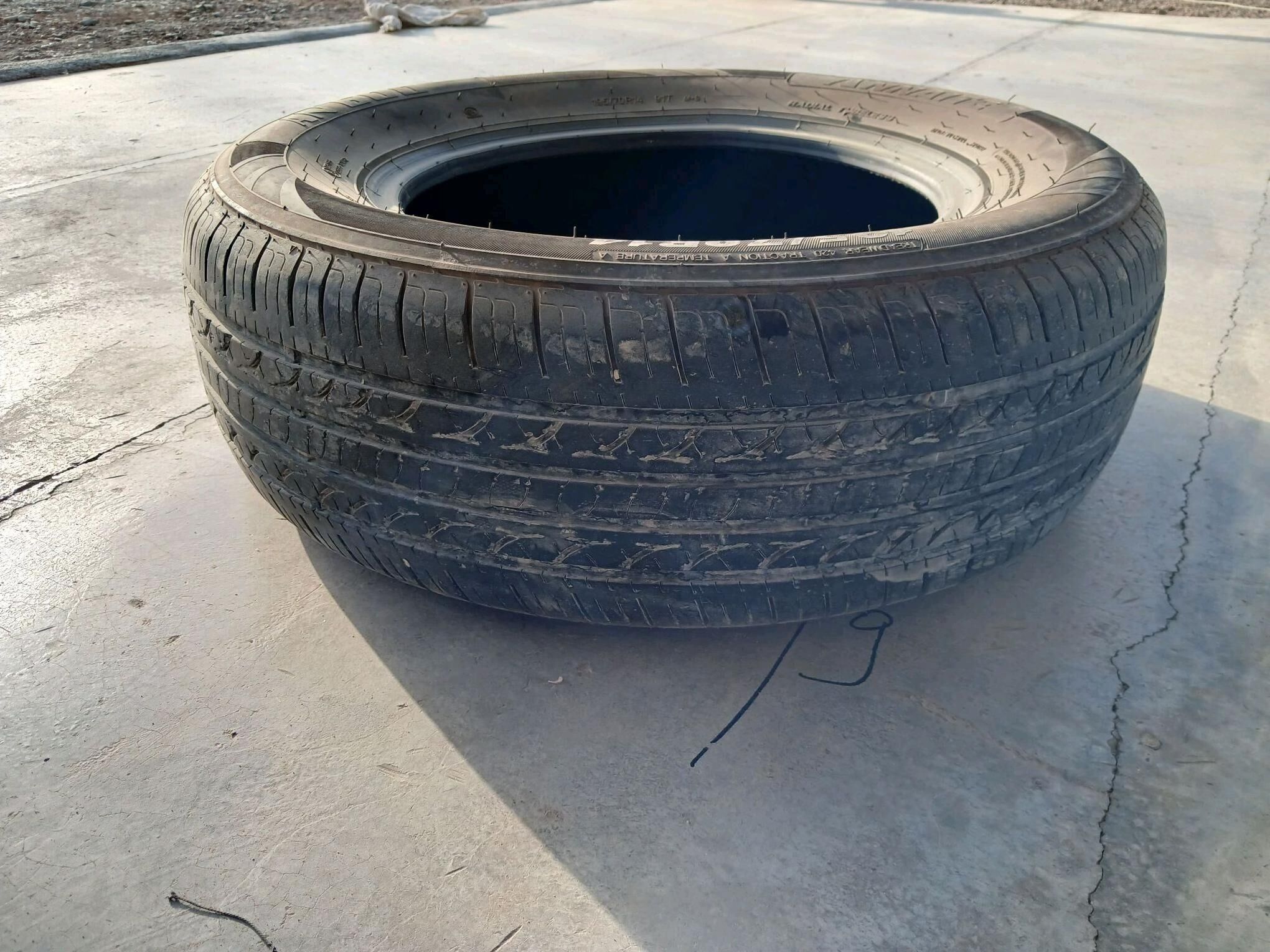 16lyk pakirişka 150 TMT - Bäherden - img 2