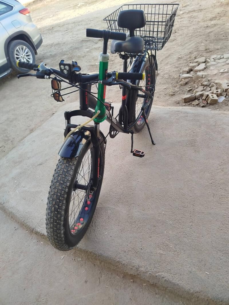 Tigir lokga pakirisga - Tejen - img 5