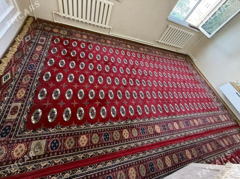 haly - Aşgabat - img 2